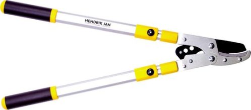 Hendrik Jan Takkenschaar Aambeeld